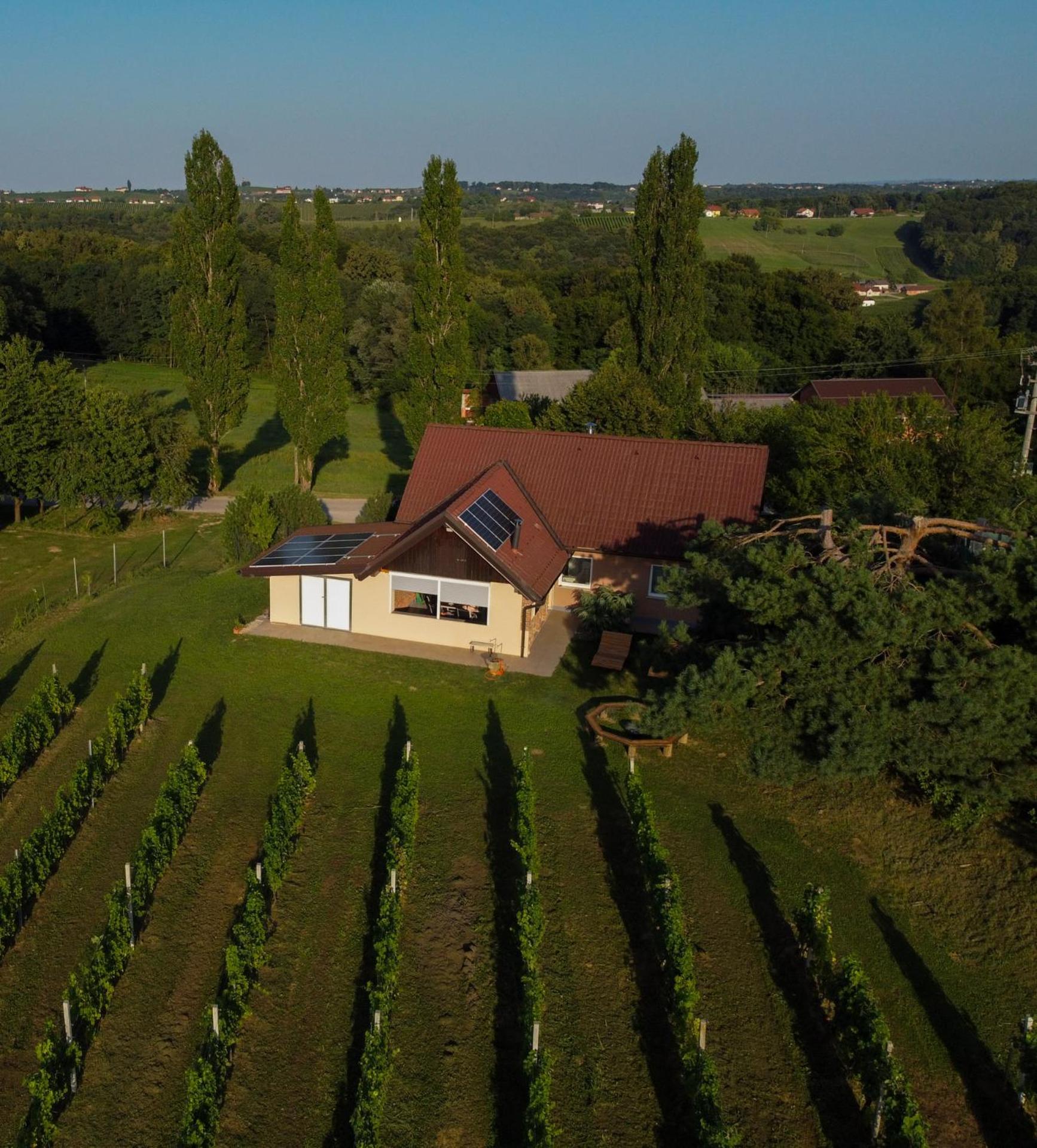 Villa Pocitniska Hisa Soncni Vrh Spodnji Ivanjci Exterior foto